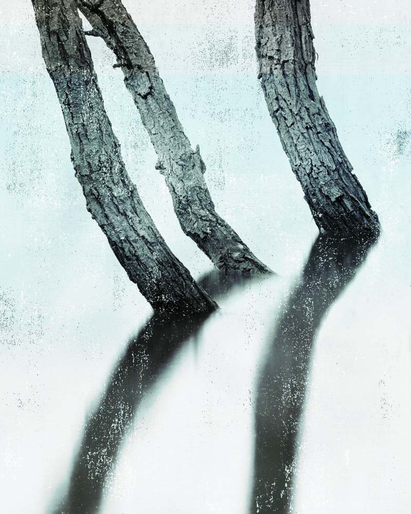 Trois arbres, peut-être morts… du moins l’un d’eux, chronique de Paul de Sorbier sur « Le Soufi », ouvrage de Marc Graciano, pour Magazine Aléatoire.