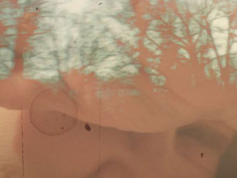 Caresse. Egret Esbrenner