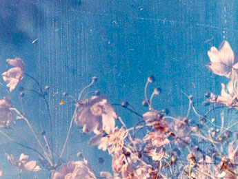 Pierredi 29. Bernard Teulon-Nouailles