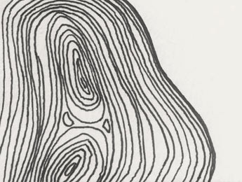 La peau. Zoé&nbsp;Viala