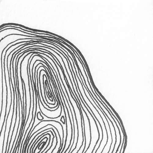 Ces petites bêtes d’un autre temps. « La peau », de la série Faunette, écrite et illustrée par Zoé Viala pour Magazine Aléatoire.