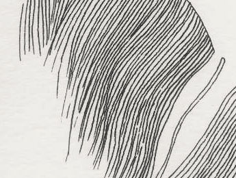 Auréolée d’oiseaux ? « Le nid », de la série Faunette, écrite et illustrée par Zoé Viala pour Magazine Aléatoire.