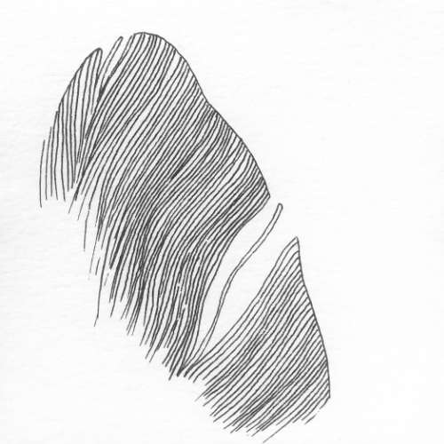 Auréolée d’oiseaux ? « Le nid », de la série Faunette, écrite et illustrée par Zoé Viala pour Magazine Aléatoire.