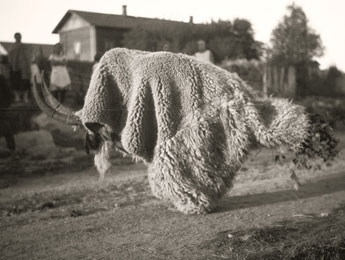 d = 1/2g x&nbsp;t2. Pat&nbsp;Mills